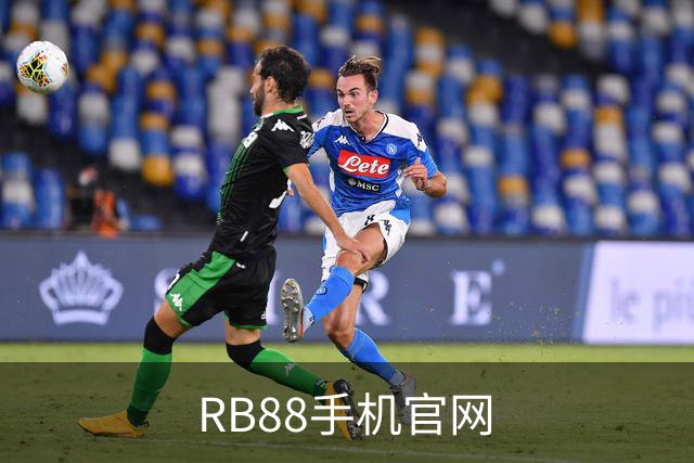 关于RB88手机官网展示图
